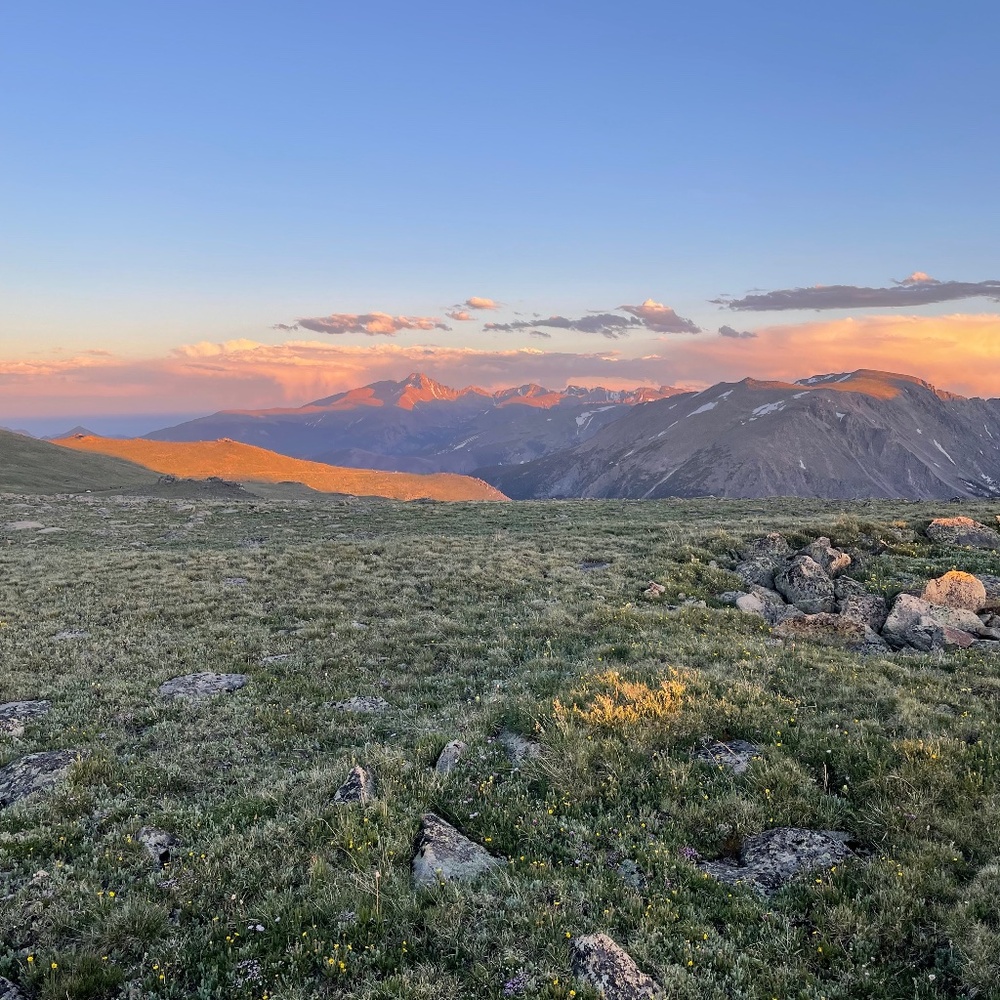 Meet your Posher, Dylan